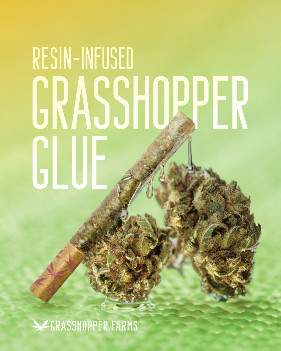 RESIN INFUSED GRASSHOPPER GLUE (1 G PRE ROLL)