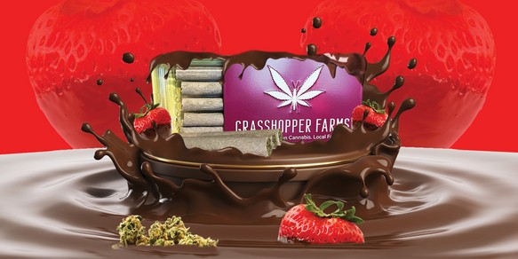 Grasshopper Farms - Chocolate Covered Strawberry - Infused Pre-roll(1g)