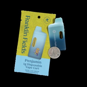 FRANKLIN FIELDS  - DETROIT DIESEL - LIVE RESIN CART(1G)