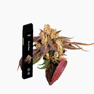 DRIP - 2G ALL-IN-ONE VAPE - DO-SI-DOS (INDICA)