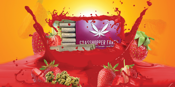GRASSHOPPER FARMS - STRAWBERRY SUNRISE - INFUSED PRE-ROLLS(5PK)