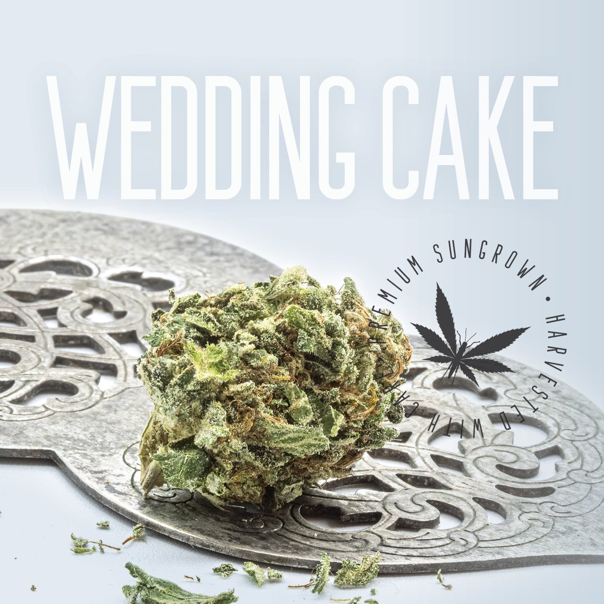 GRASSHOPPER FARMS - WEDDING CAKE - BULK FLOWER