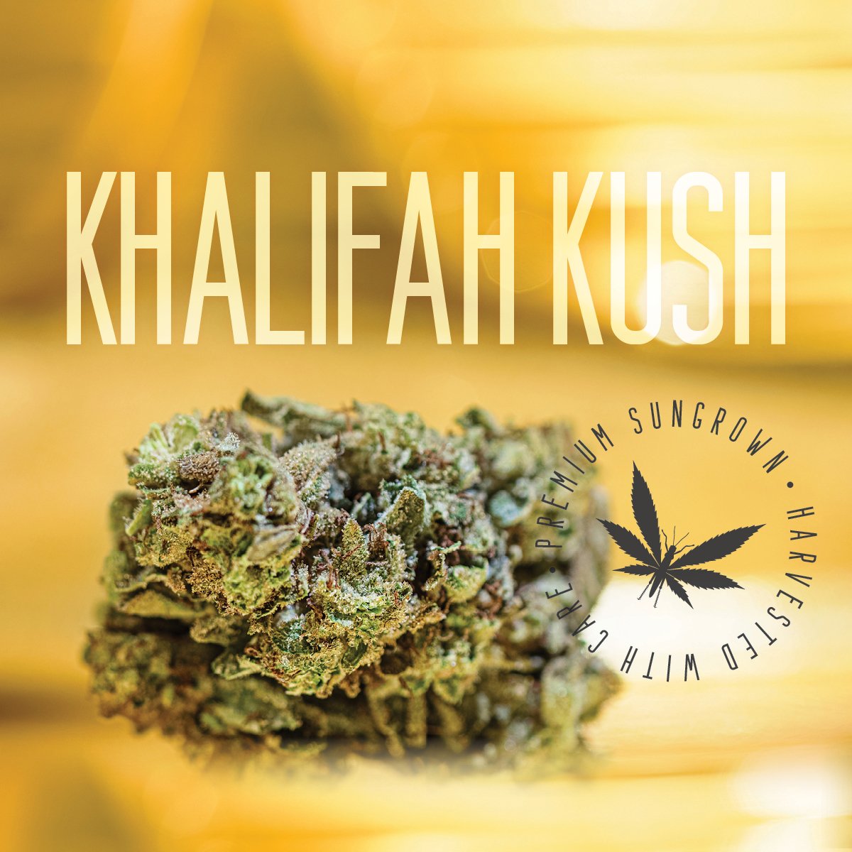 GRASSHOPPER FARMS -  KHALIFA KUSH - BULK FLOWER
