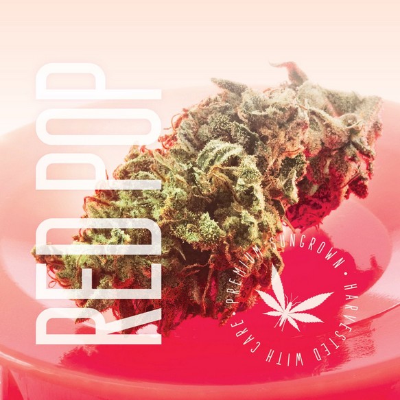 GRASSHOPPER FARMS - RED POP - BULK FLOWER