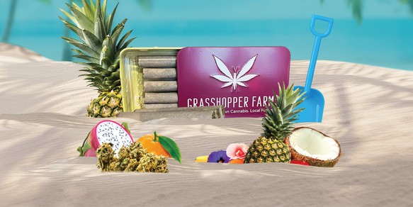 GRASSHOPPER FARMS -  MAUI WOW ME - INFUSED PRE ROLL(1G)