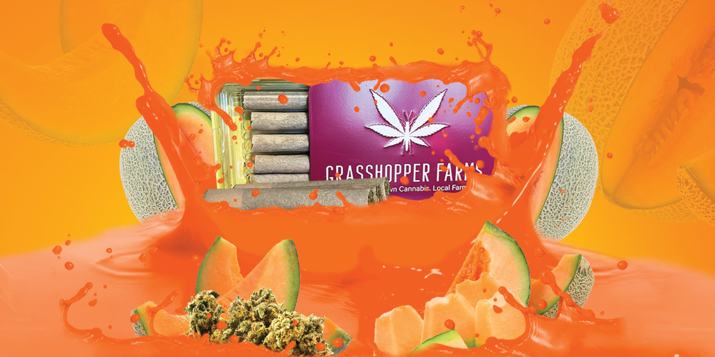 GRASSHOPPER FARMS -  CANNALOPE CRUSH - INFUSED PREROLL(1G)