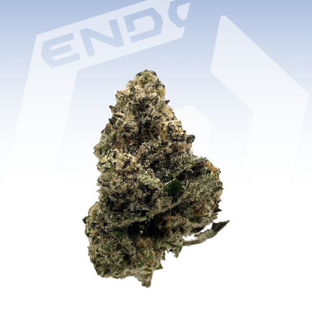 ENDO | SEPARATION ANXIETY SMALLS | 28G