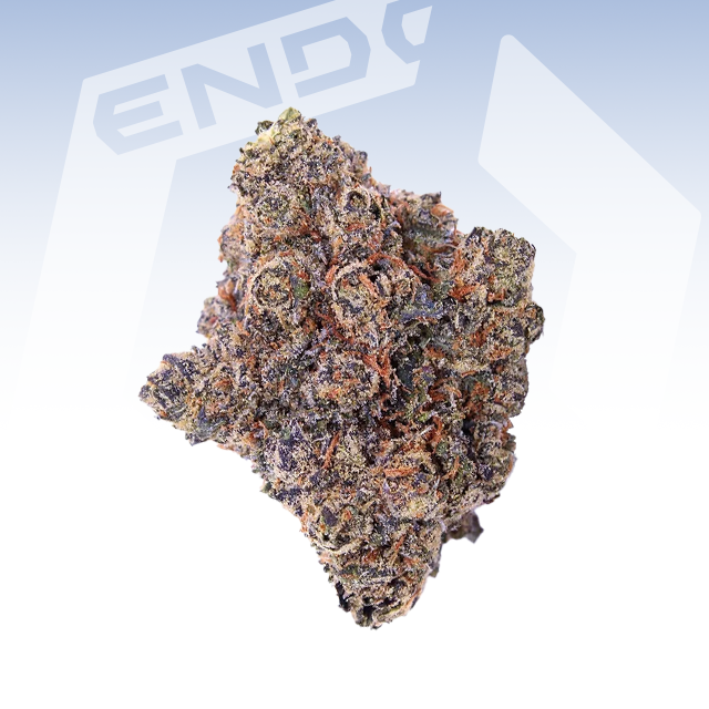 ENDO | BOLO RUNTZ SMALLS |28G