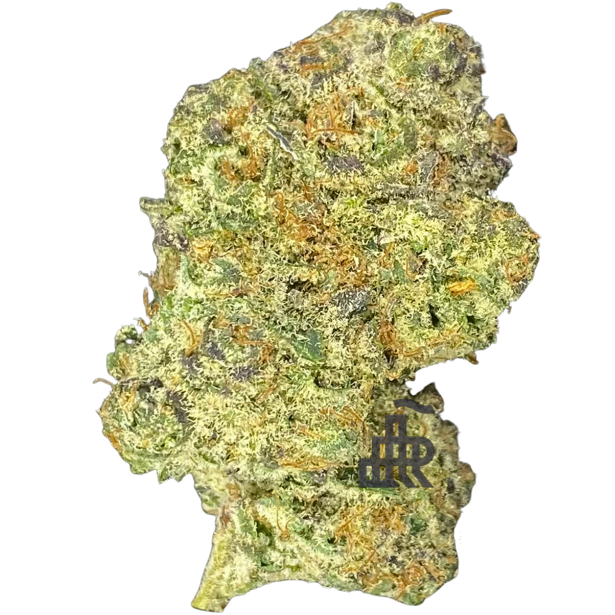 Baparaja Deli Tier Six