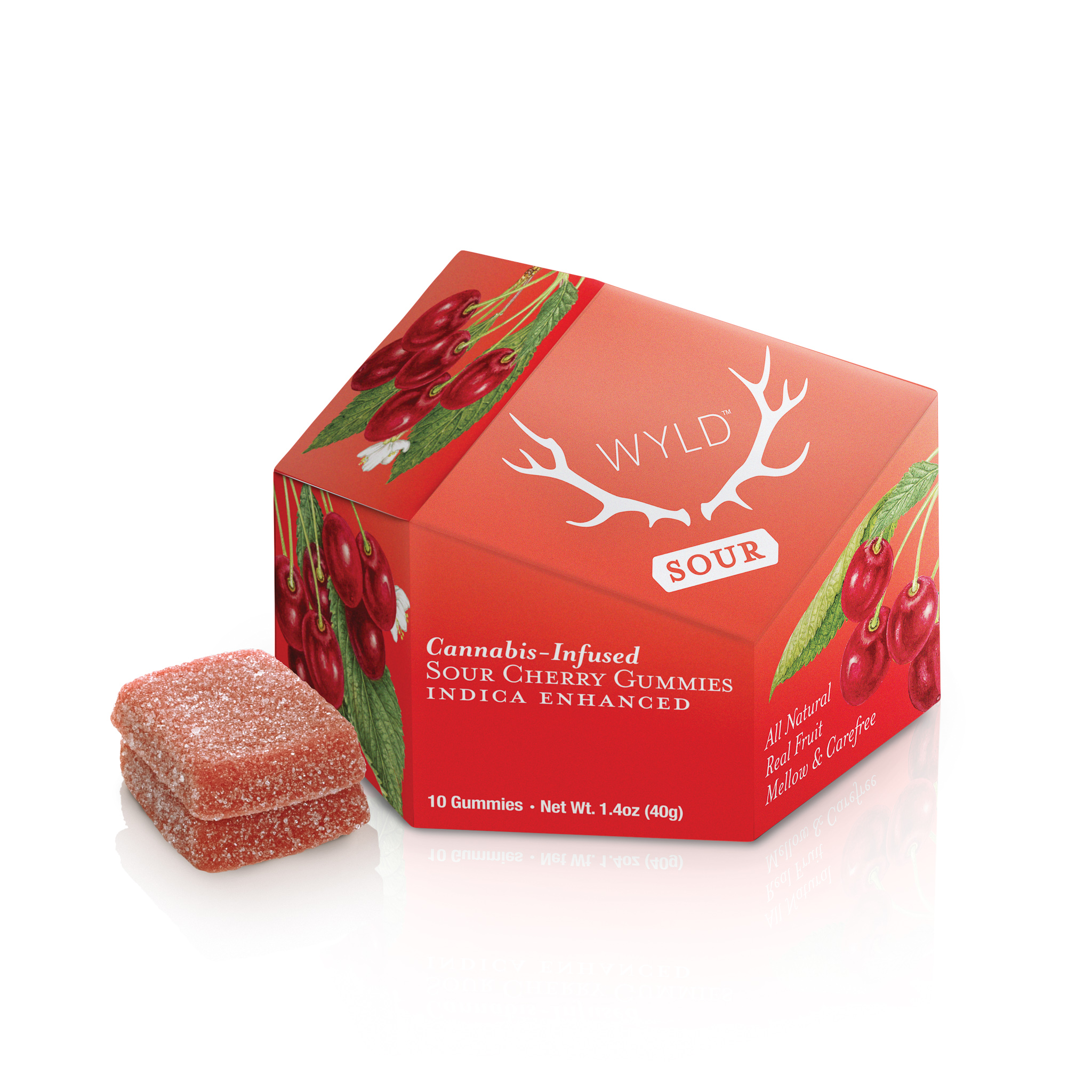 SOUR CHERRY (10-PACK)