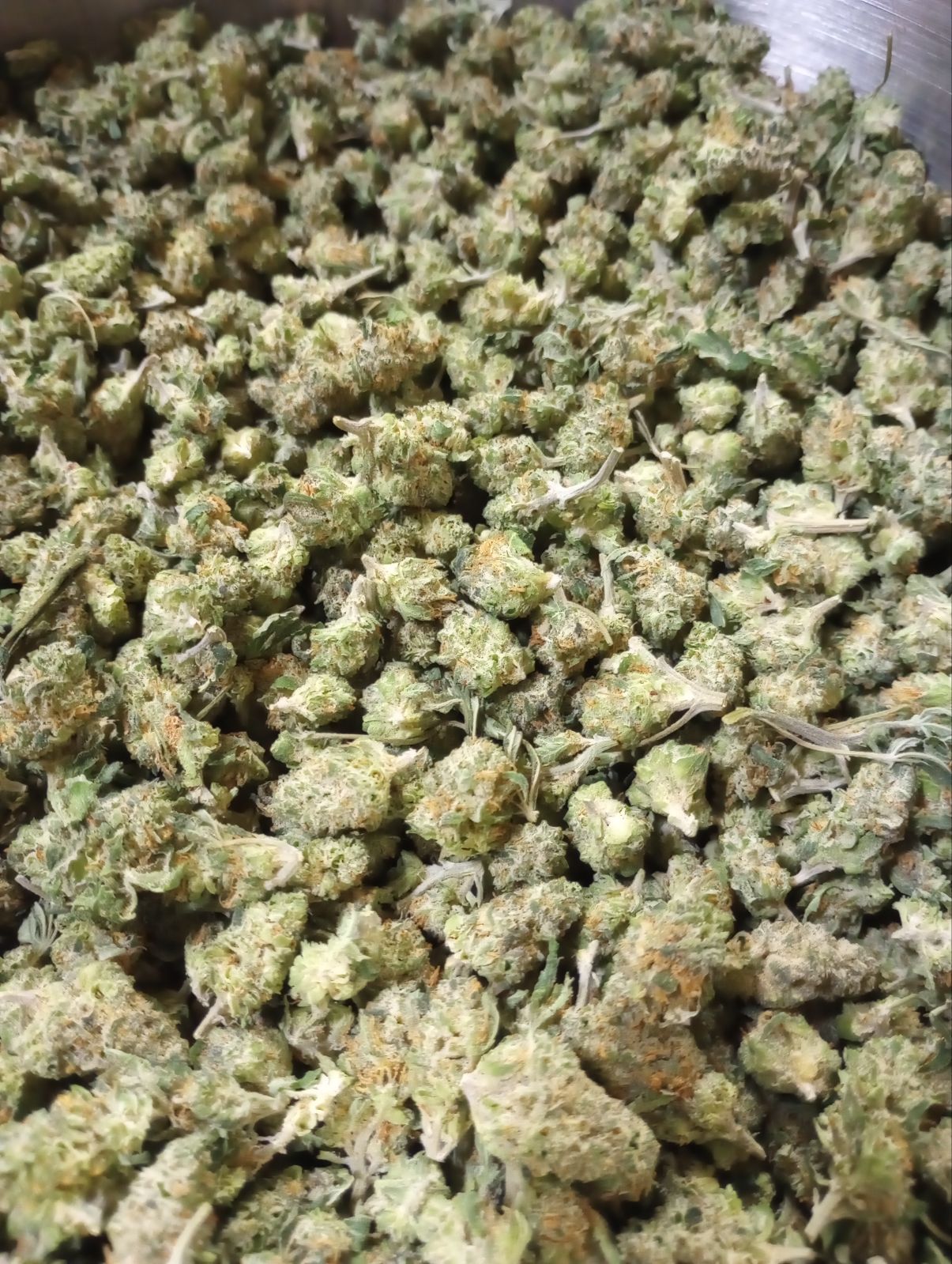 PINK COOKIES (BRONZE TIER)