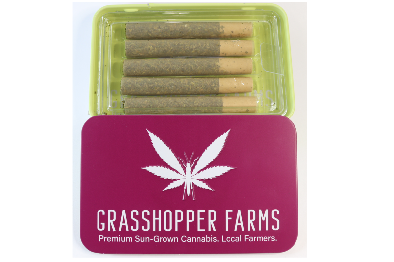 ORANGE SHERBET (5-PACK)
