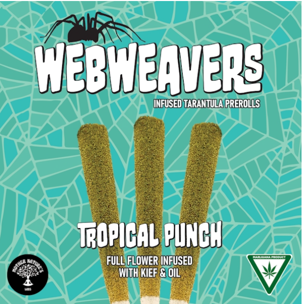 TROPICAL PUNCH TARANTULA