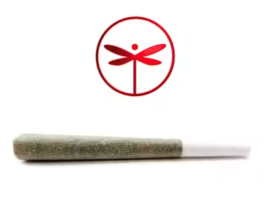 MMXX