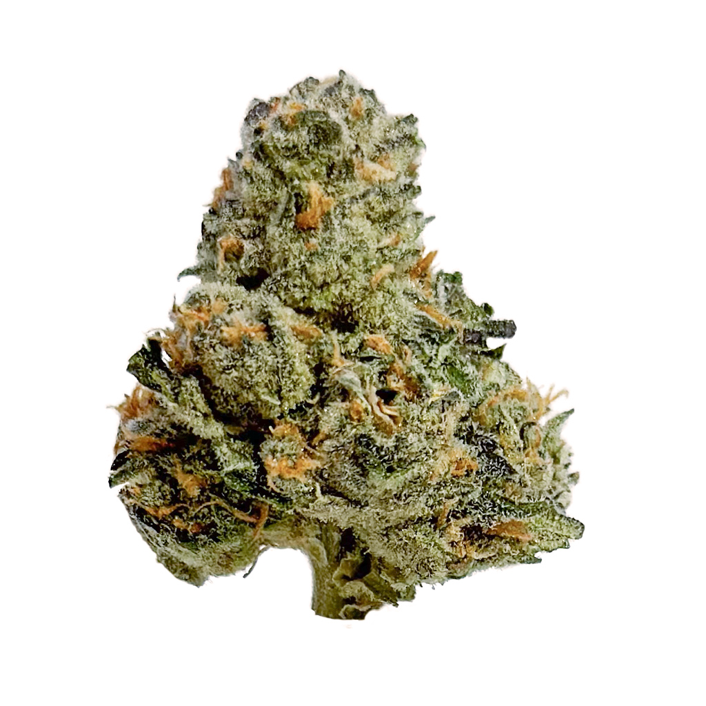 L.A. MENDO 3.5G