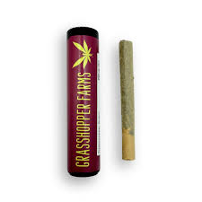 1G Chocolate Cake Infused Pre-roll