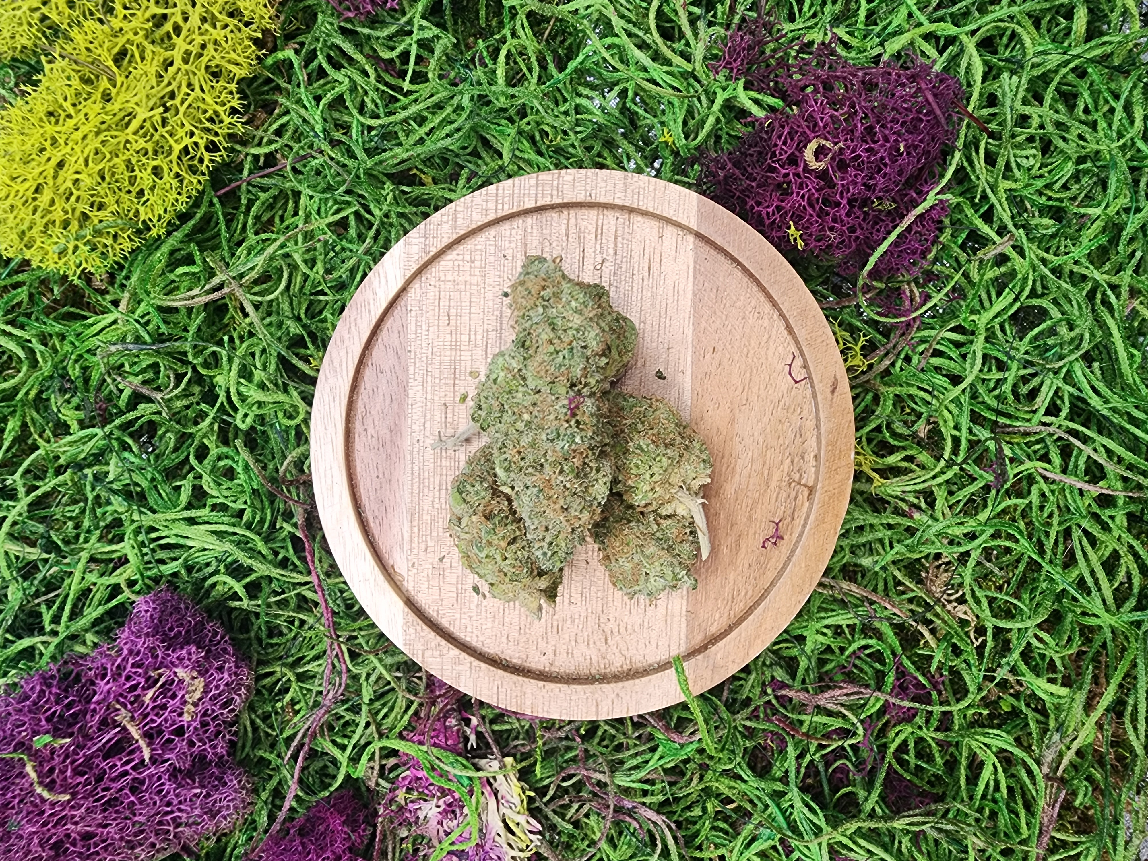 7G Hindu Kush Quarter Special