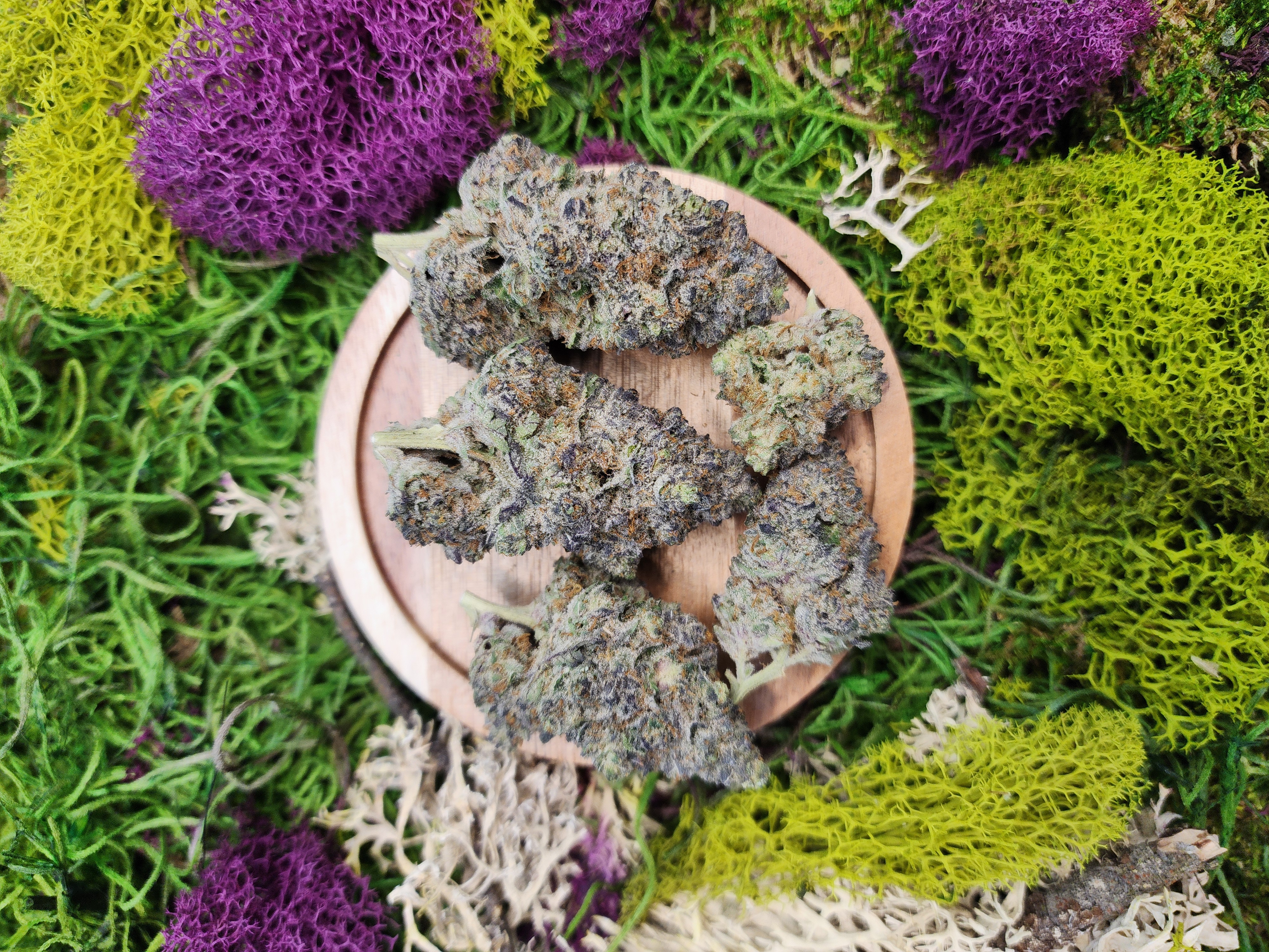 Pink Certz