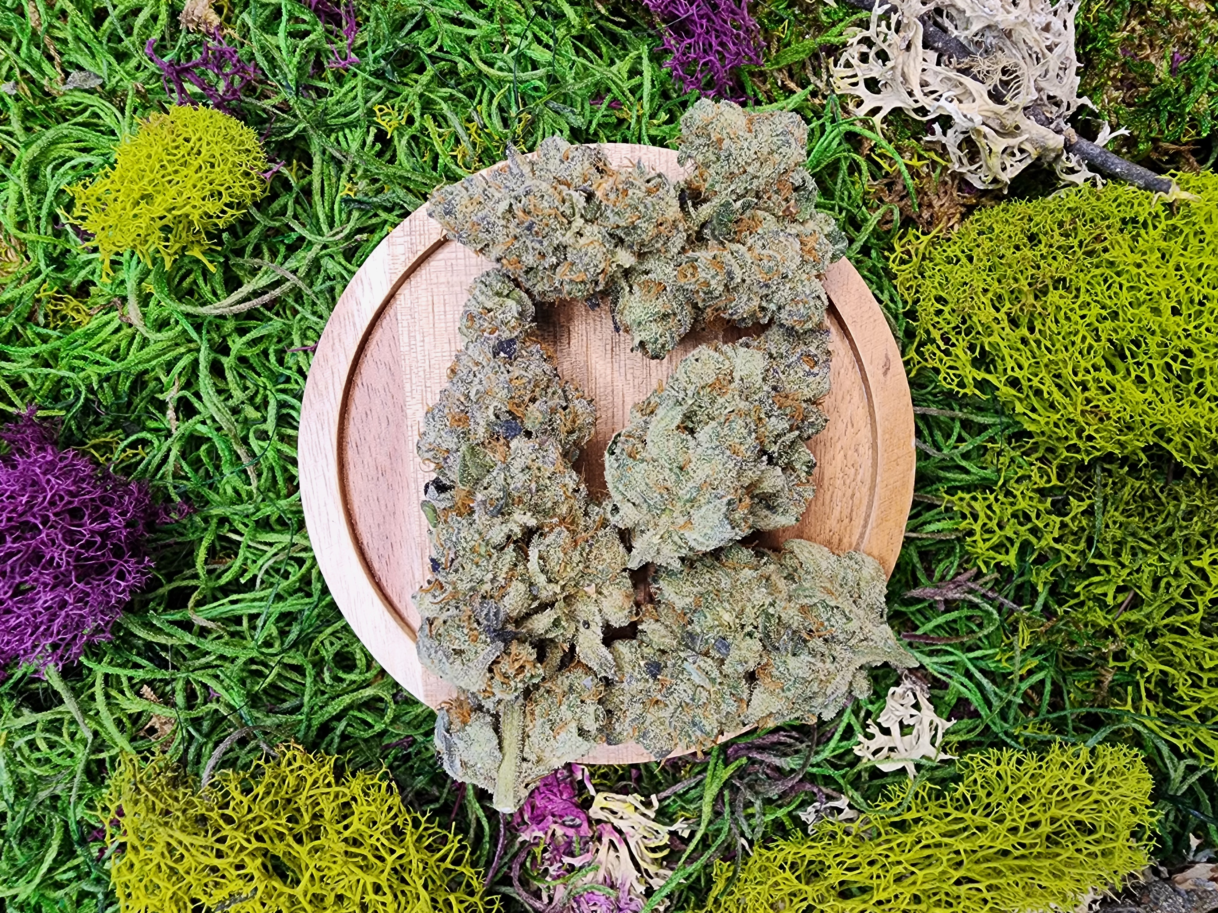 1G SUMMERTIME SATIVA