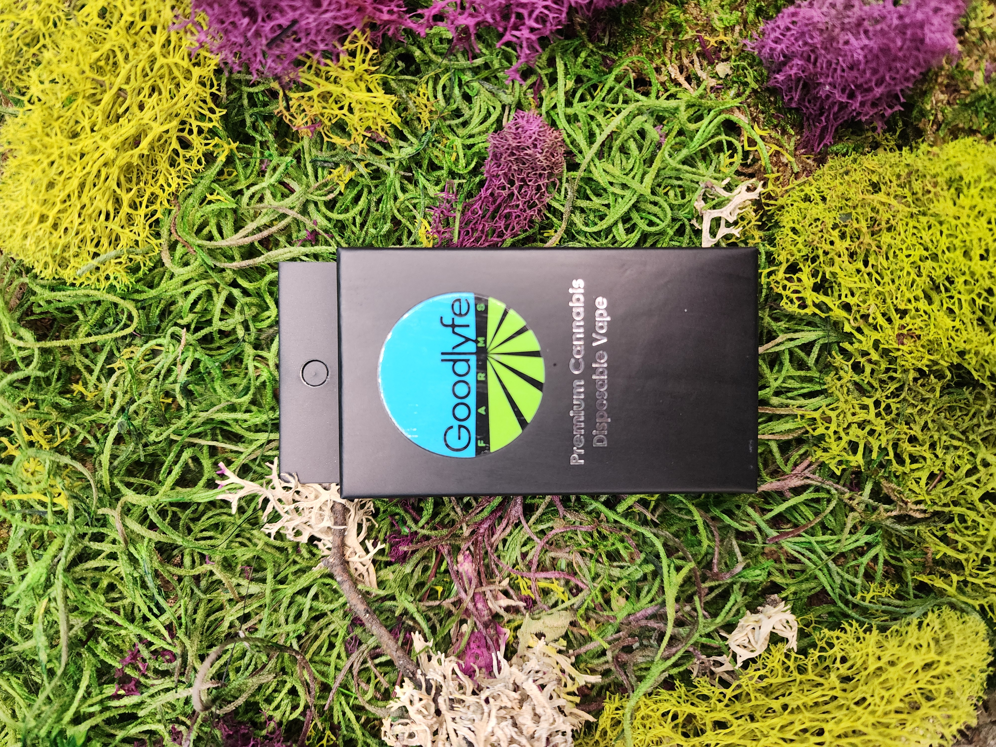 1G Rainbow Belts Disposable