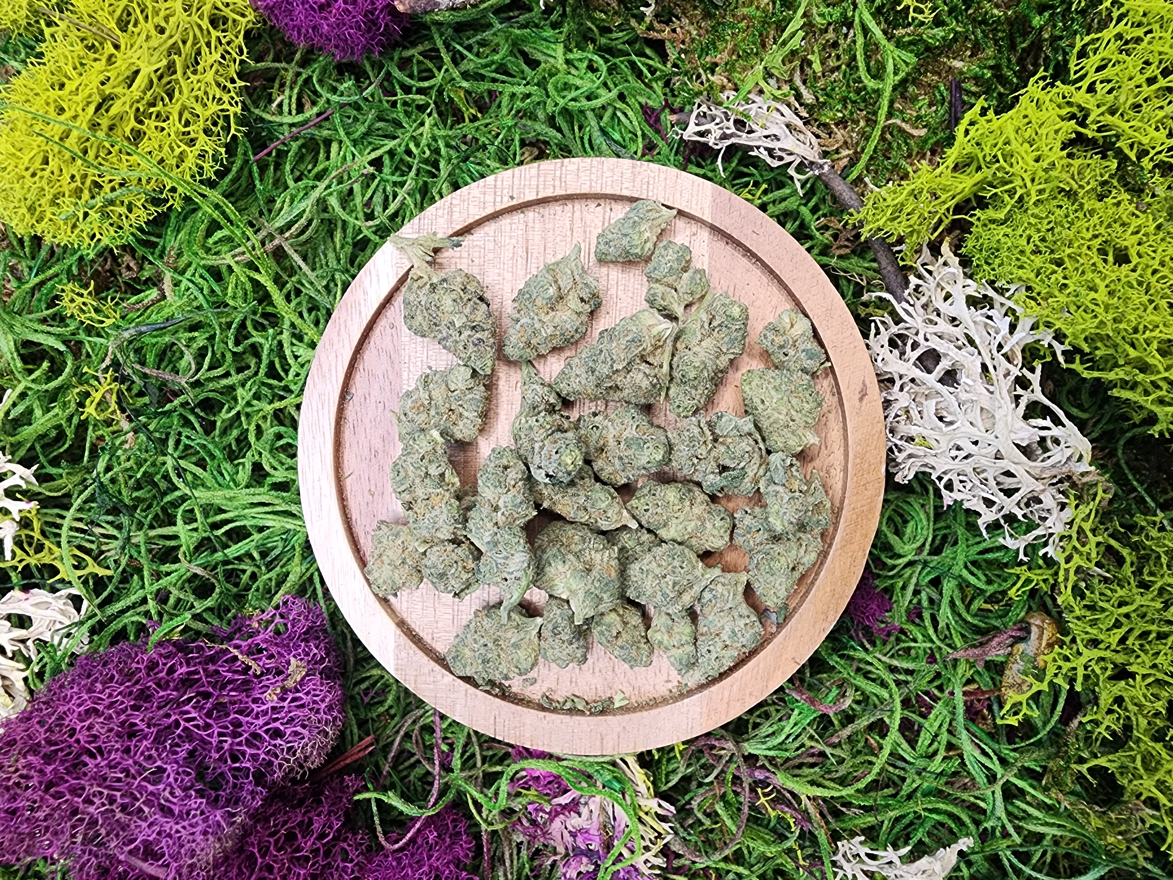 28G Ice Cream Cake Oz Special