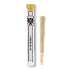 1.25G Gorilla Glue Spyder Legs Infused Pre-roll