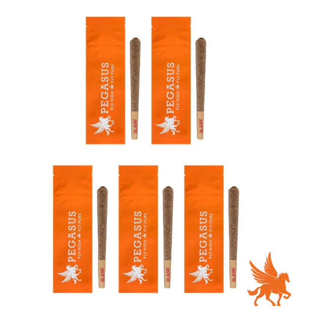 5PK | 1G Preroll | Rainbow Rocket