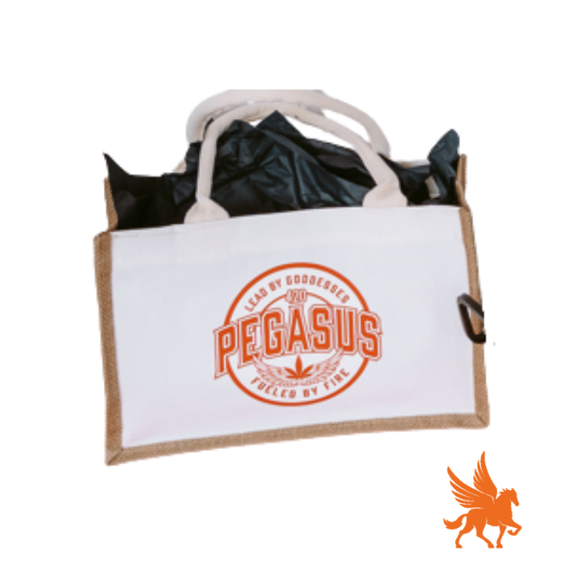 Pegasus Canvas Tote Bag