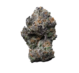 Purple Dreamz
