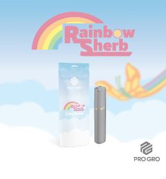Rainbow Sherb | Live Resin | Disposable | 1g