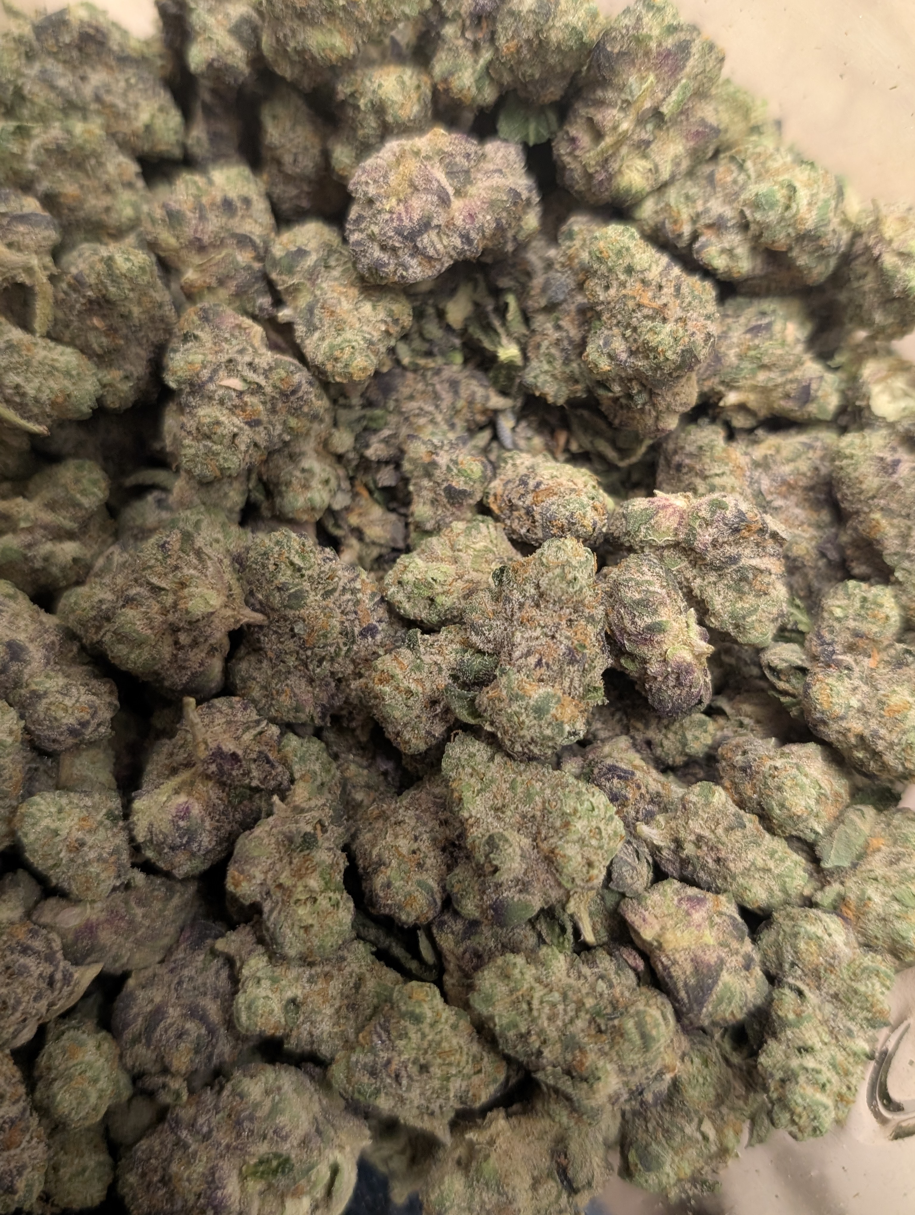 Blue Cookies