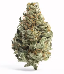 Super Glue